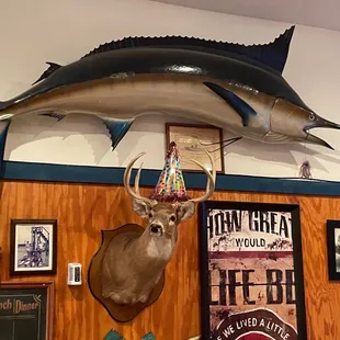 a marlin fish mounted on the wall