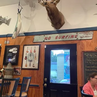 a deer head mounted on the wall