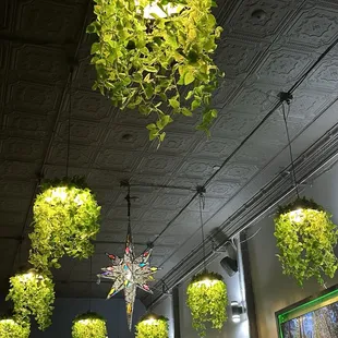 Nice interior, but nothing like the Instagram posts