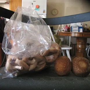 a bag of mushrooms on a chair