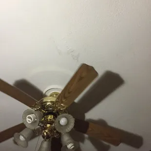Note how the rest of the ceiling is textured but the leaking spots appear to have been previously painted over.