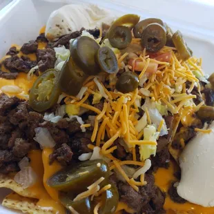 Carne asada nachos