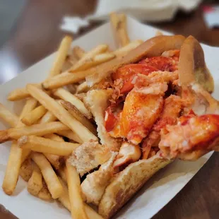 Lobster roll in toasted bun and  fries .