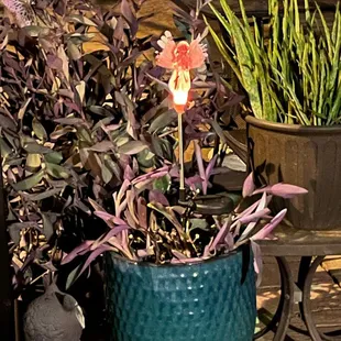 All My Love, Love's Promise for an angel...!