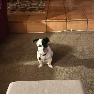 T B.
