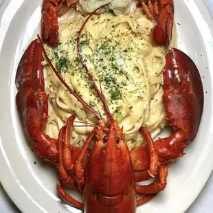 Lobster fettuccine Alfredo