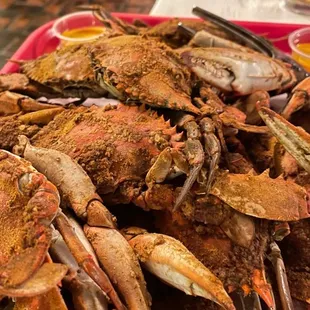 Maryland Blue Crab