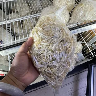 Cambodian bean sprouts