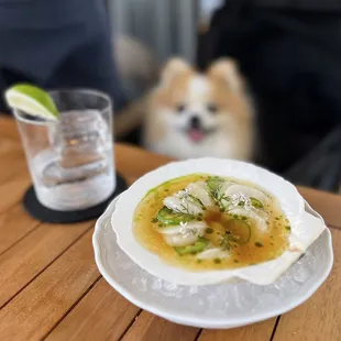 Scallop Crudo ($21) &amp; Casa Noble Blanco, on the rock ($16)