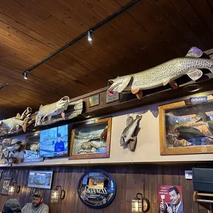 a fish display
