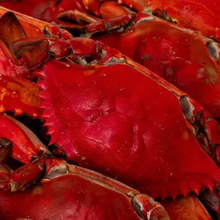 a pile of red crabs
