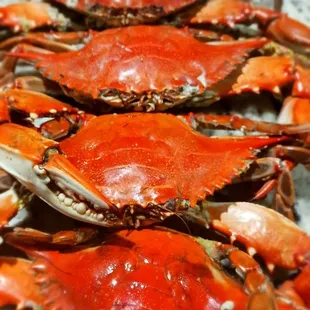 a pile of crabs