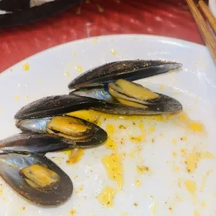 Mussels
