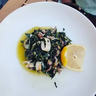 Tiny portion of squid for $14