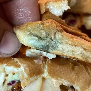 Chicken Slider