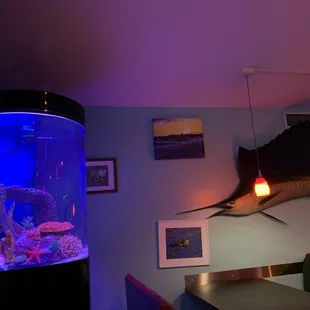 Disgruntled swordfish