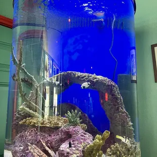 a fish tank