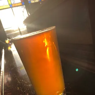 Citra IPA in the winter sun