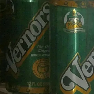 12oz Vernors Ginger Ale Can