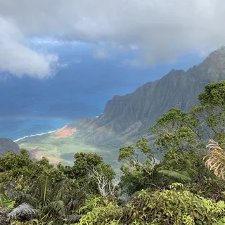 Maui W.