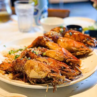 Freshwater Prawns