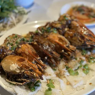 oysters, food, mussels, shellfish, oysters and mussels