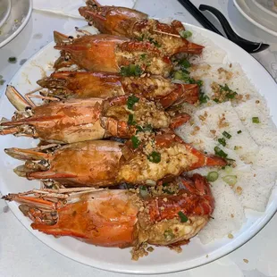 Water Prawns