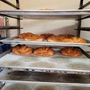 These croissants go by fast but there's plenty more