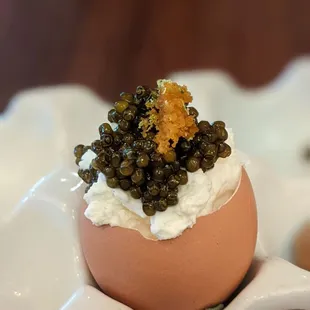Kaluga Caviar and Eggs