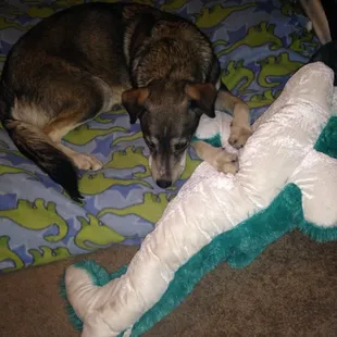 My girl and her favorite dolphin