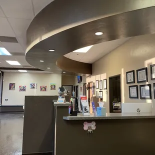 Getting my three kittens spayed and neutered