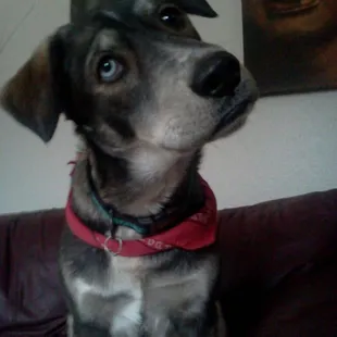 Did you say dog park????