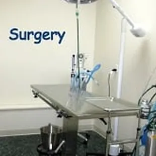 Surgical procedures include spays, neuters, de-clawing, soft tissue and orthopedic surgery.