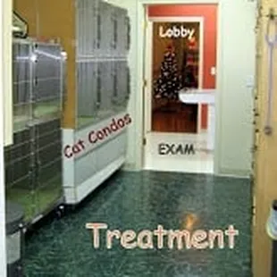 A wellness examination includes an evaluation of all of your pet's major organ systems. We'll use the wellness visit to ask you