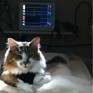 State of the art surgical monitoring