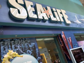 SEA LIFE Grapevine Aquarium