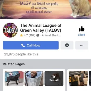 There Facebook account!