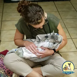 Soo cute! Dr. McClain helped Freddie wake up after neuter. What a precious purrito!