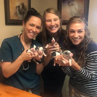 Dr. Vanderhoof, Dr. Thomas and Dr. McClain had some special visitors!!