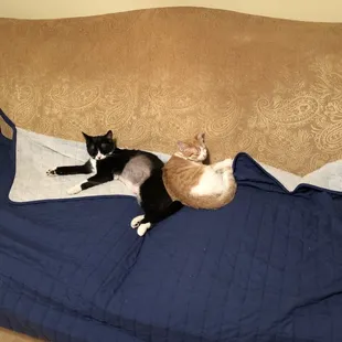 Lucy and Jack Jack stone cold Chillin