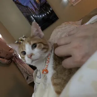 Jack Jack dreams of Paris