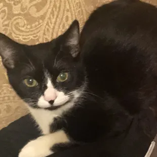 Lucy Lou! She's for sure the boss