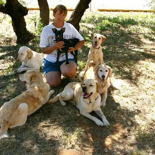 Mary and dogs