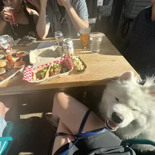 Tacos and strawberry rhubarb crumble