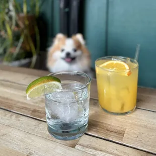 Fortaleza Blanco ($15) + St. George &amp; OJ ($13)