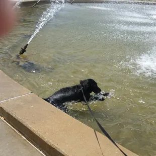 Don&apos;t drink the water!