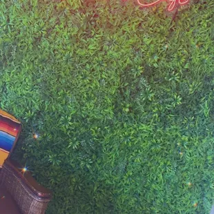 a chair in front of a green wall