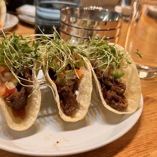 Bulgogi Taco