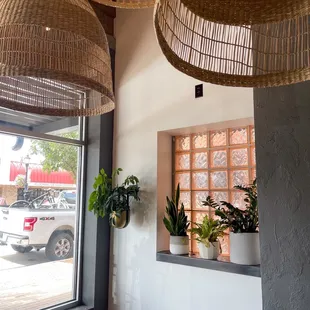 Cute Plant corner in the back of the large seating table