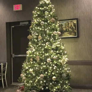 Christmas tree up.